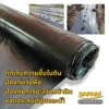 พลาสติกคลุมดิน