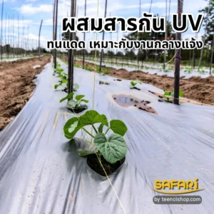 พลาสติกคลุมดินผสมสารกัน UV