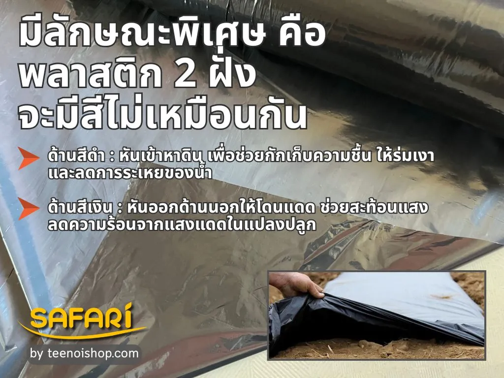 พลาสติกคลุมดิน 2 ฝั่ง จะมีสีไม่เหมือนกัน