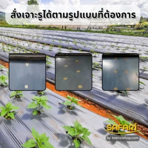 พลาสติกคลุมดินสั่งเจาะรูได้ตามรูปแบบที่ต้องการ