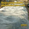 พลาสติกคลุมเห็ดช่วยกักเก็บความชิ้น