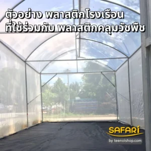 พลาสติกโรงเรือนใช้คู่กับพลาสติกคลุมวัชพืช