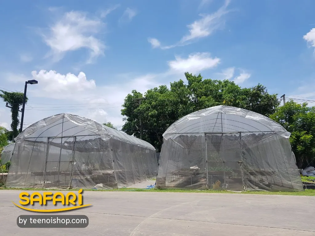 พลาสติกโรงเรือนใช้ร่วมกับตาข่ายกันแมลง