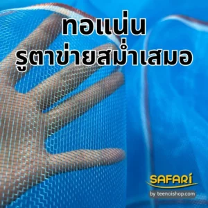 มุ้งไนล่อนฟ้า