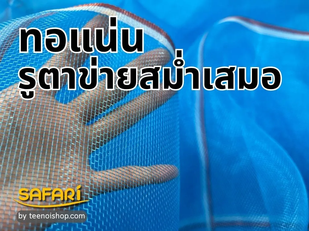 มุ้งไนล่อนฟ้า