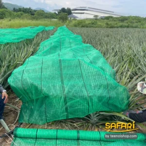 สแลนกันแดด