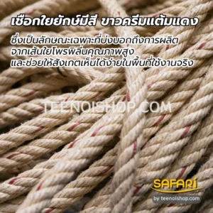 เชือกใยยักษ์สีขาวครีมแต้งแดง