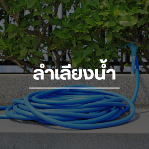 ลำเลียงน้ำ