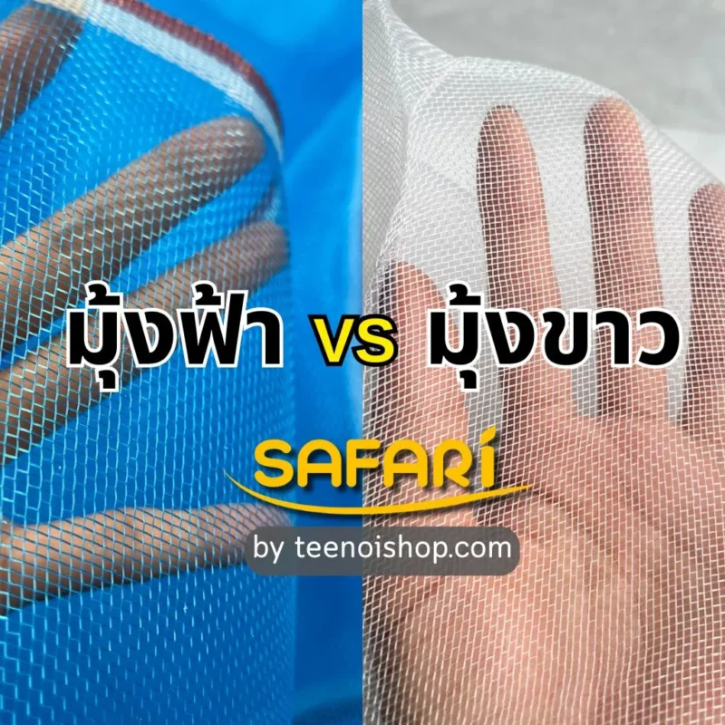 มุ้งฟ้า vs มุ้งขาว
