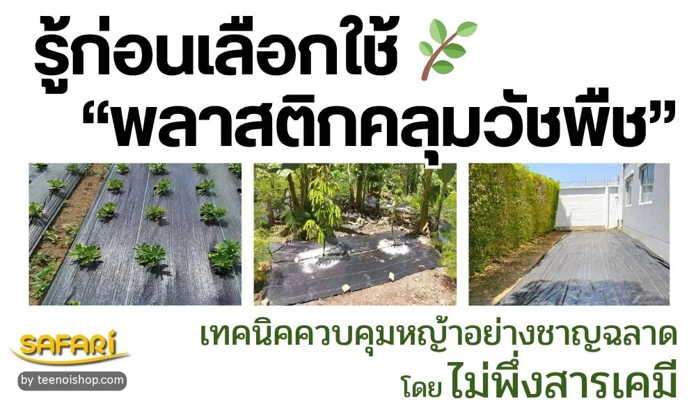รู้ก่อนเลือกใช้พลาสติกคลุมวัชพืช